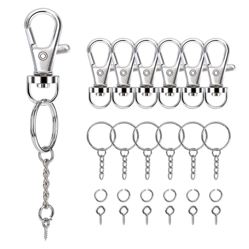 Sucrown 160PCS Keychain Making kit - 40PCS Swivel Lobster Clasp, 40PCS Key Rings with Chain, 40pcs Jump Rings and 40pcs Screw Eye Pins for Keychain Lanyard, Crafts and Jewelry Making - Image 1